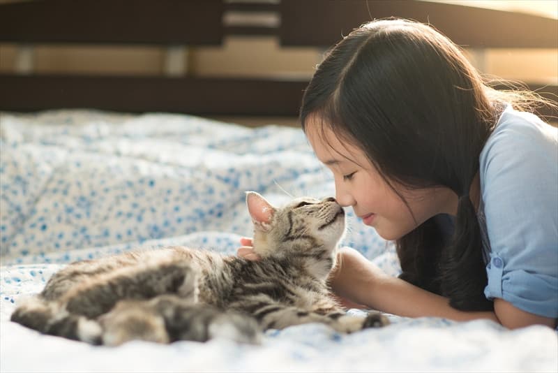 大阪市の保健所ではペット火葬をしているの？③