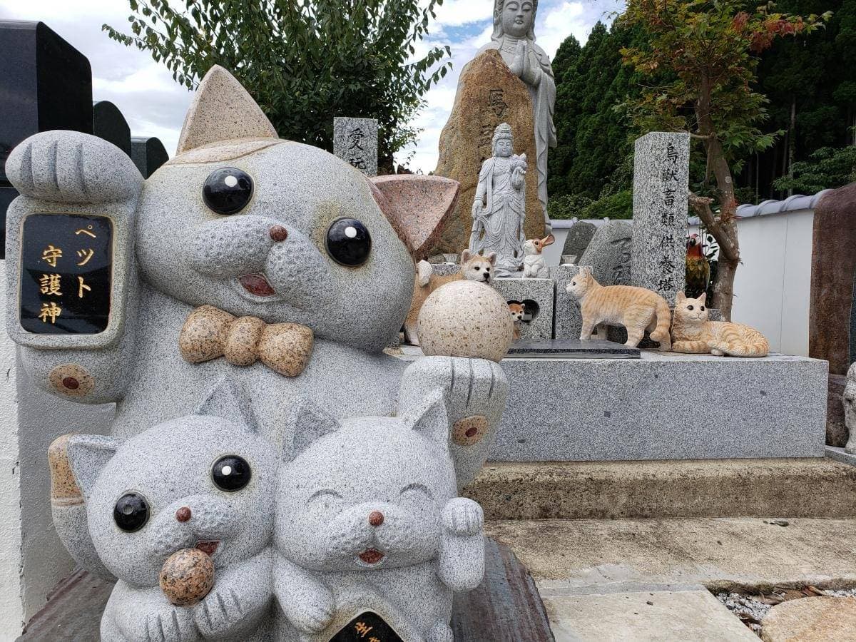 ペットの火葬をお願いする際に喉仏を残してもらう方法と供養