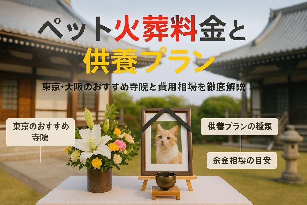 ペット火葬のお寺料金比較と東京大阪おすすめ供養プラン徹底ガイド