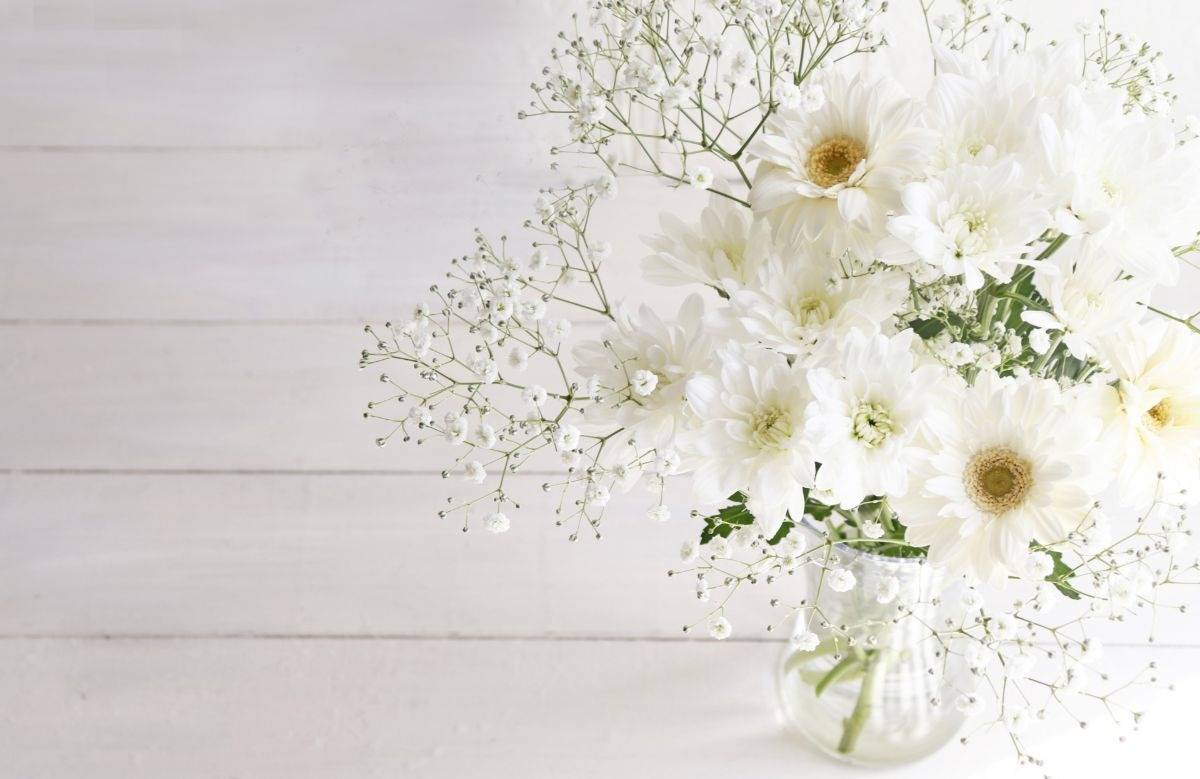 ペット火葬に関する花の選び方と花言葉