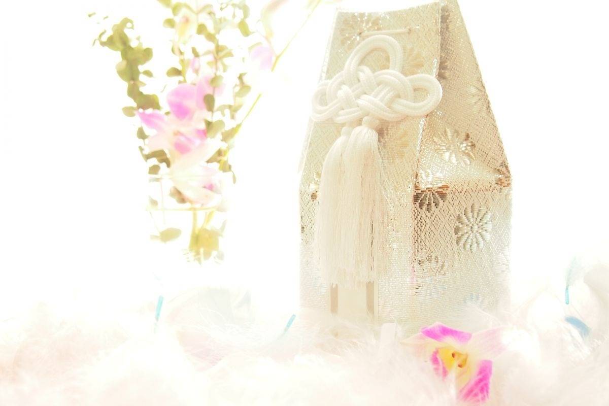 ペットの個別火葬における業者の選び方！安心の見送りを叶える最新対応と注意点