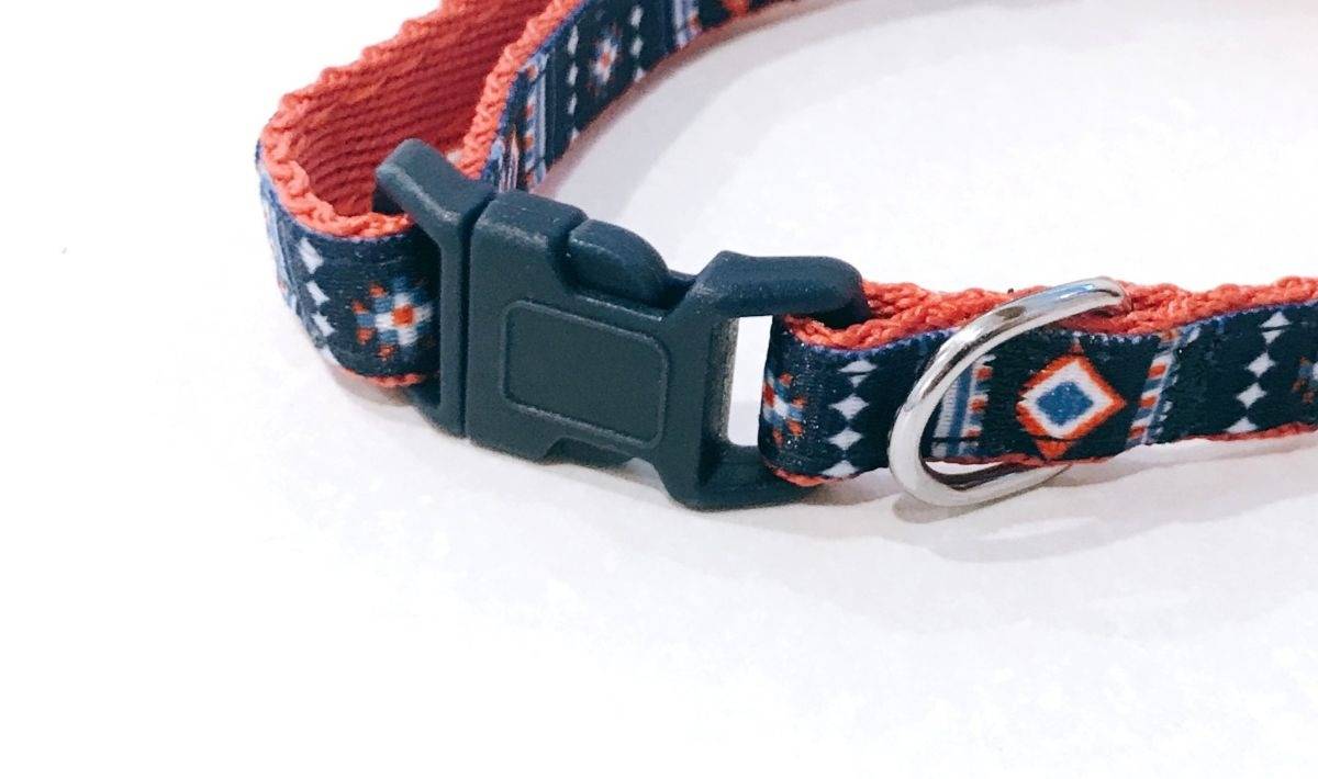 ペット火葬首輪の選び方と処理方法！大切な思い出を守るためのポイント