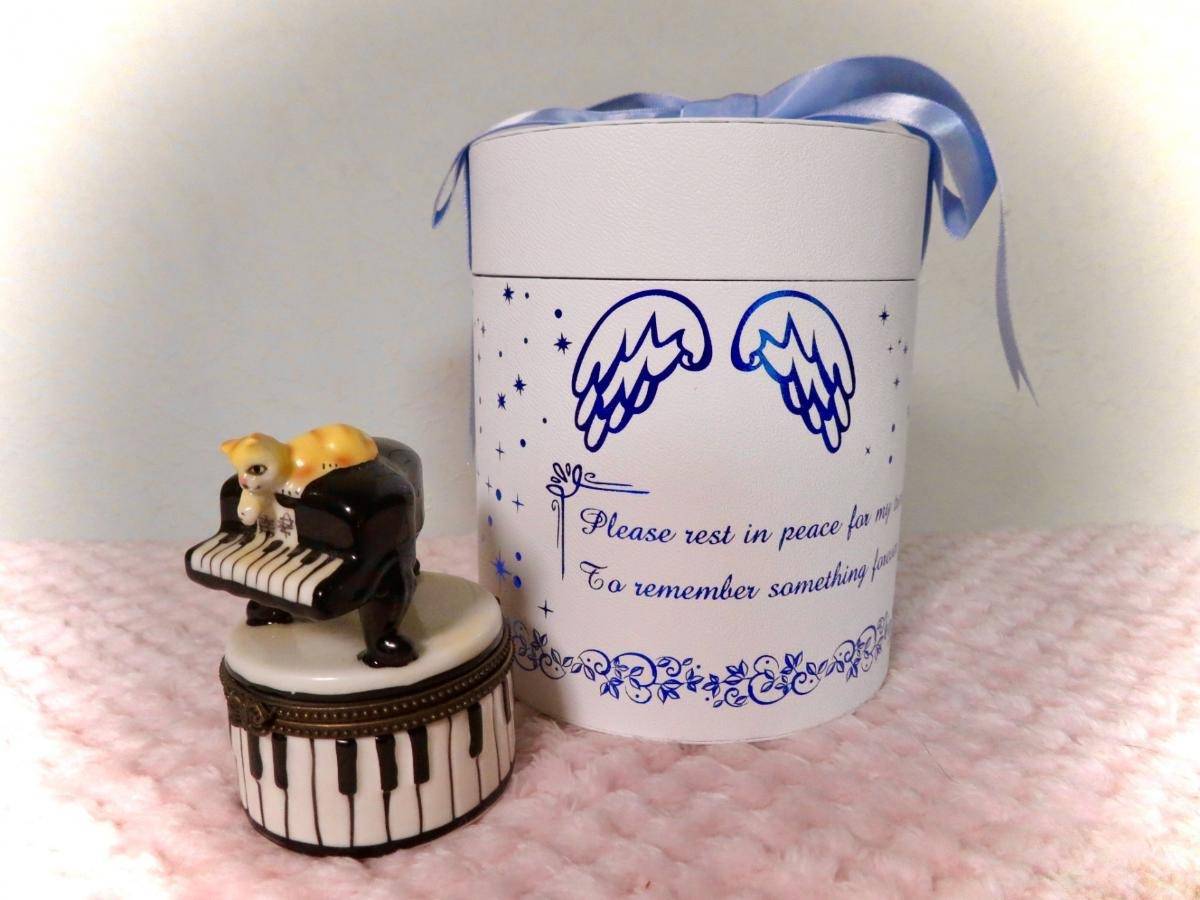 ペット火葬の後に後悔しないために、遺骨ネックレスの種類と選び方