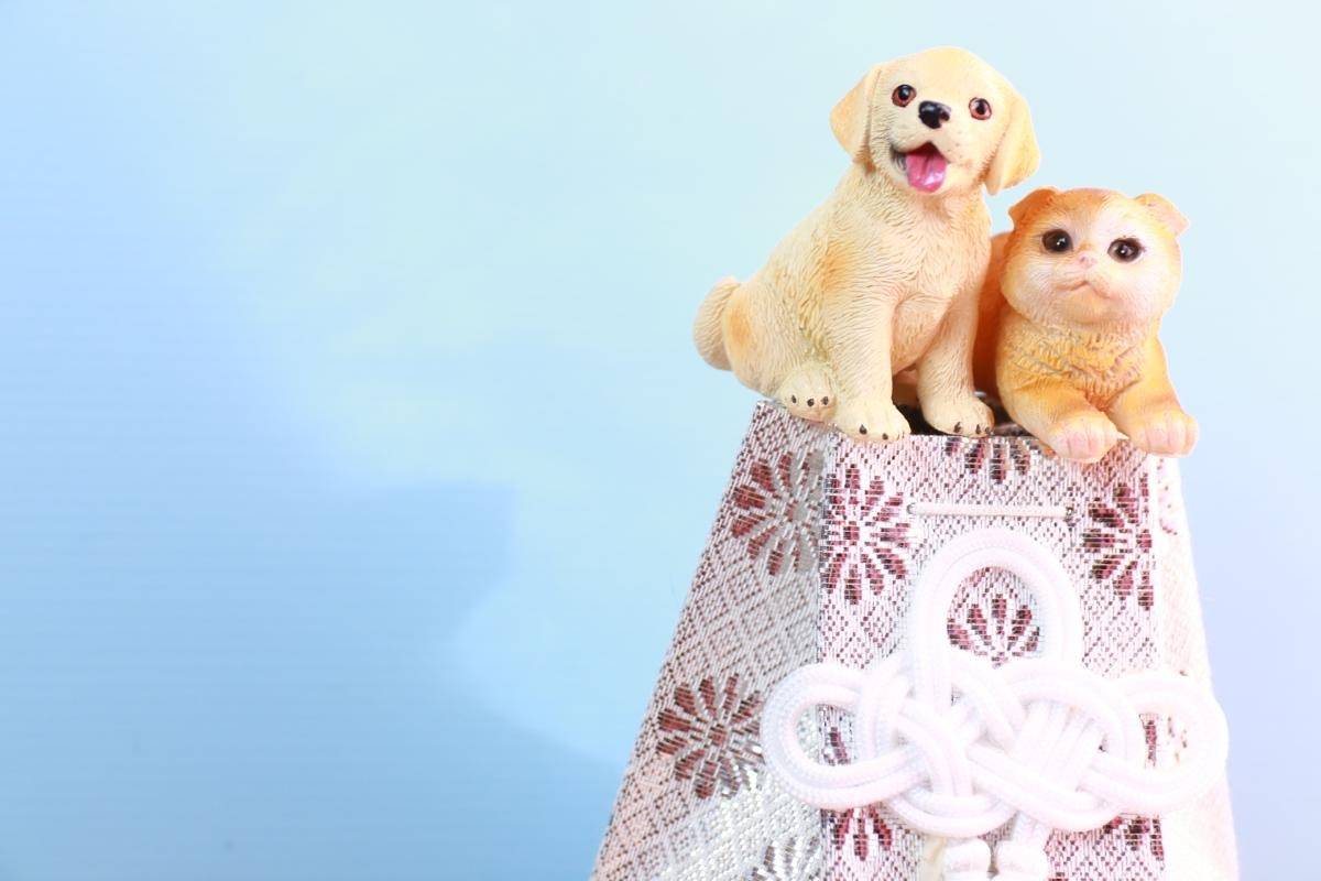 ペット火葬出張で安心の供養を実現する選び方と訪問葬儀・返骨対応を解説