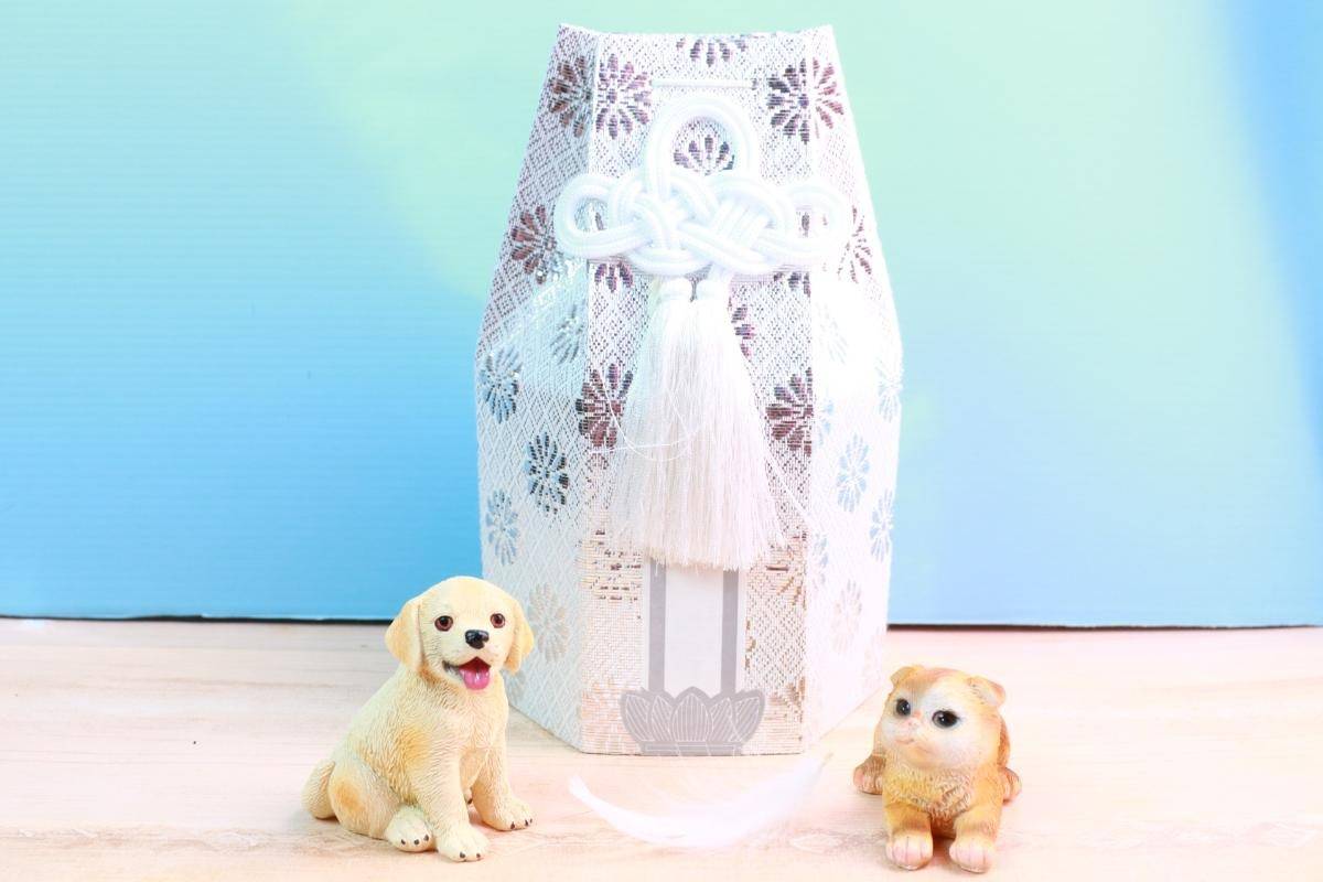 ペット火葬におやつは必要？後悔しないための供養の選び方と注意点