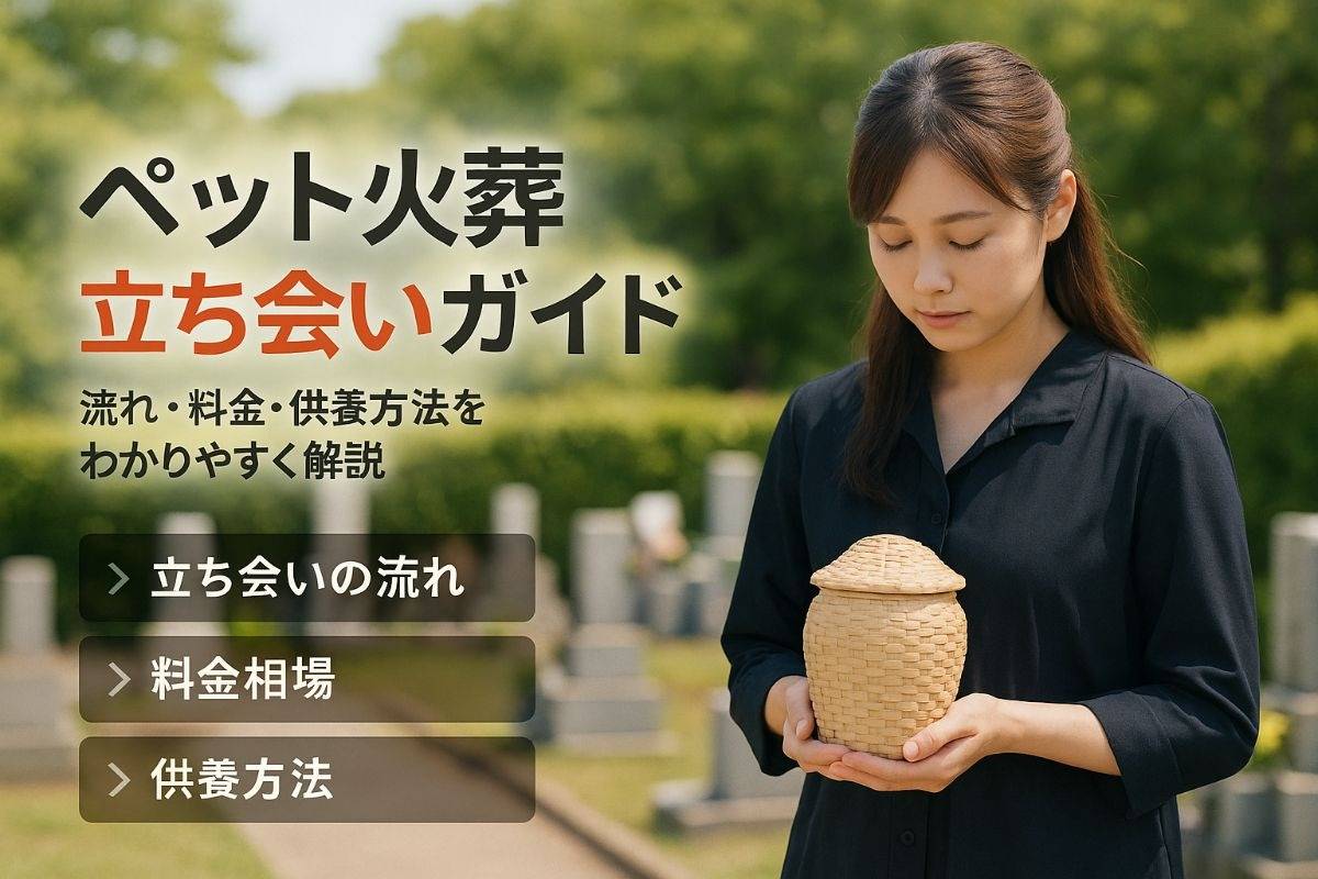 ペット火葬の立ち会いで失敗しない流れと料金比較・供養方法ガイド